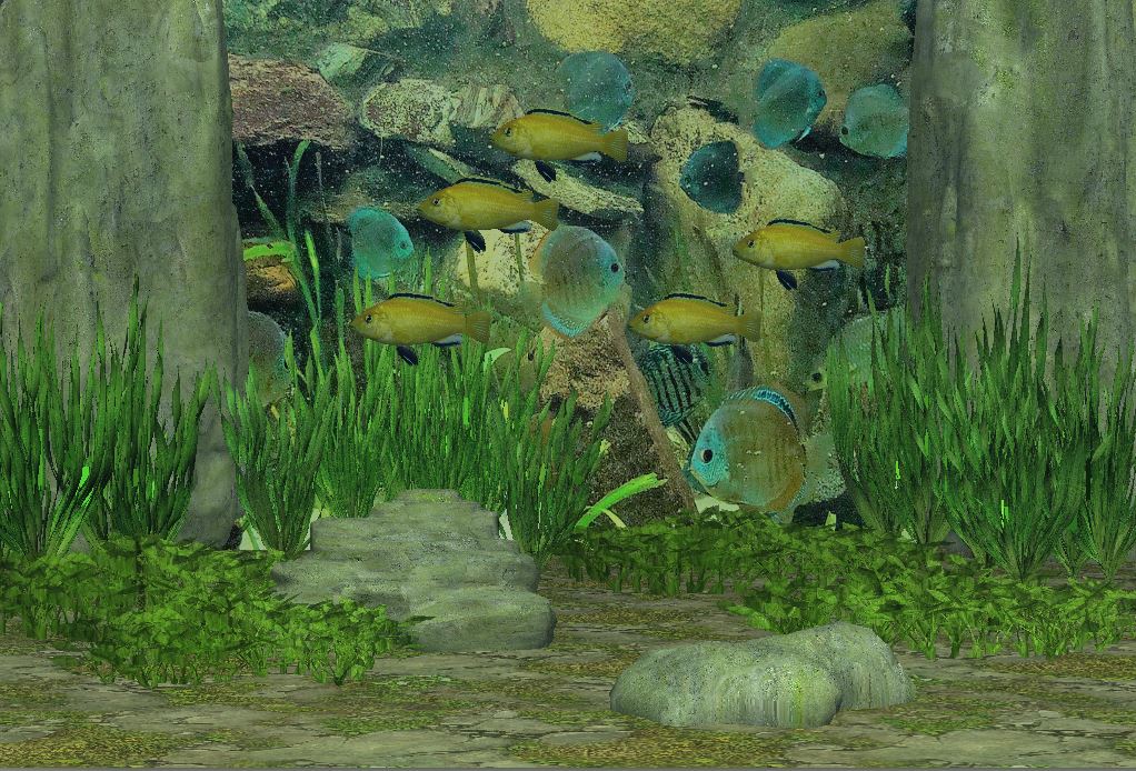 Unterwasser Scene C