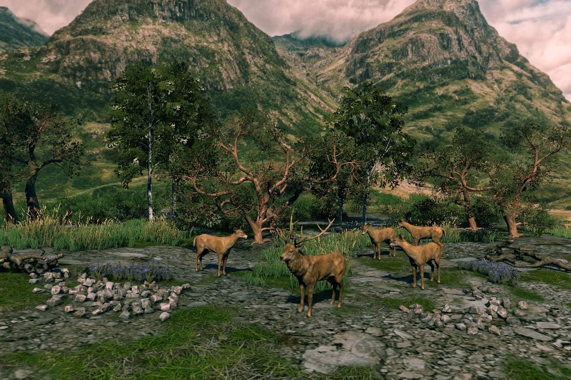 Flora & Fauna Meriterran A