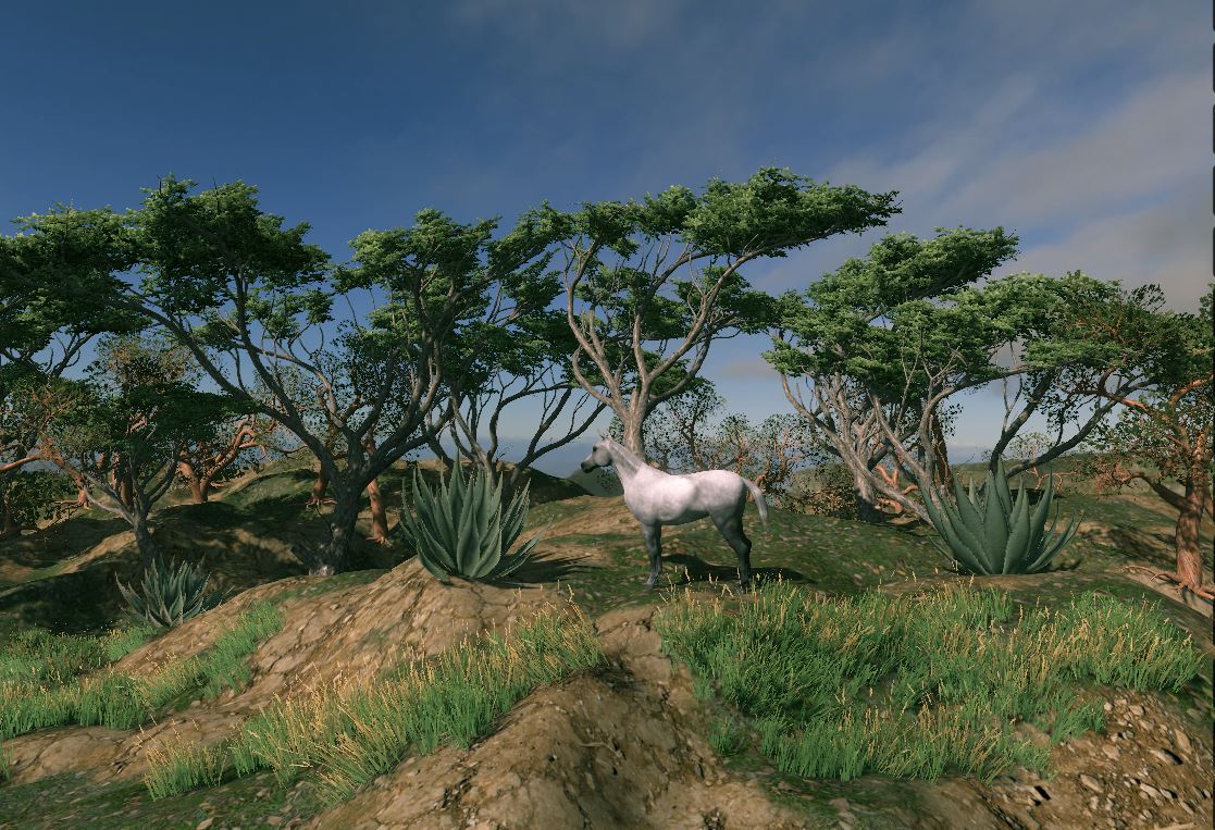 2021 5 FloraFauna MeriterrC
