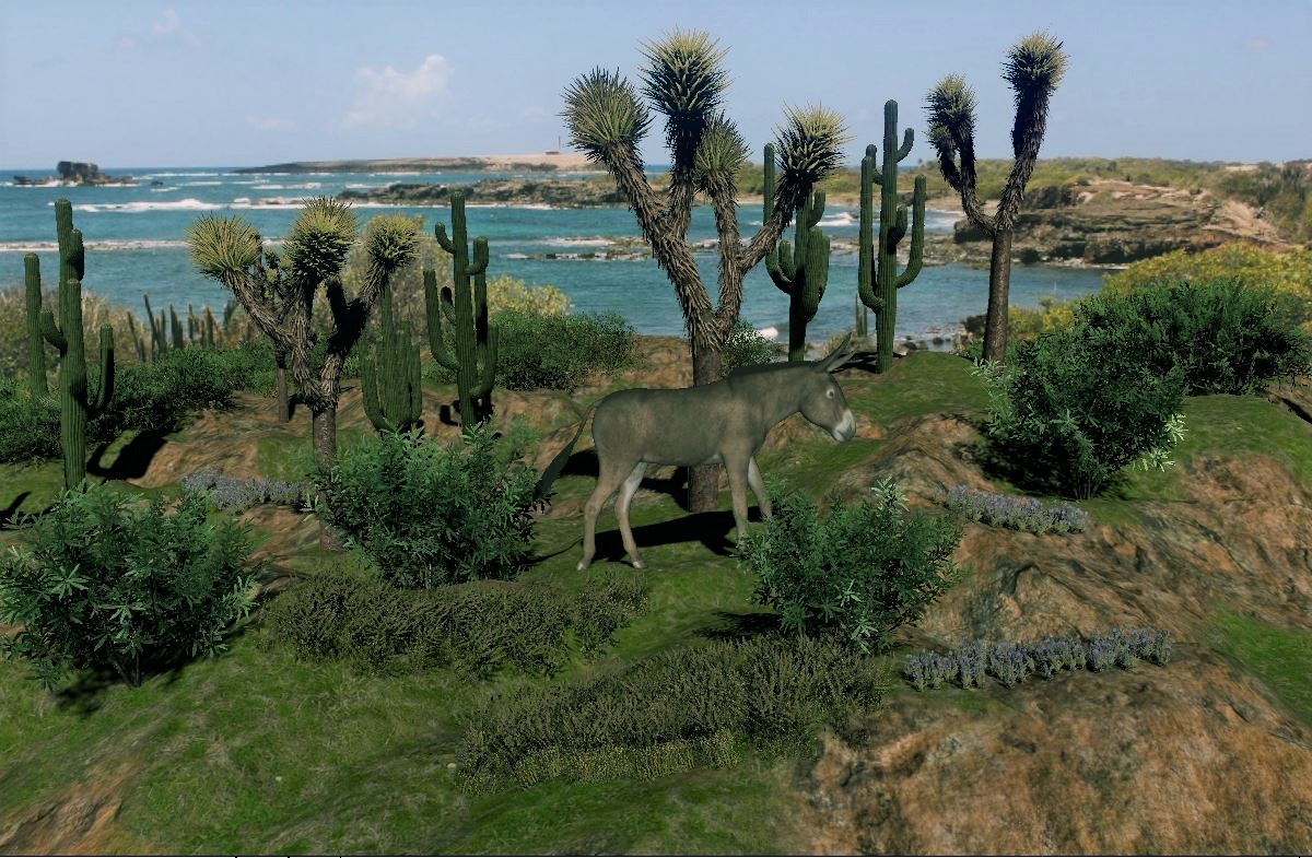 2021 5 FloraFauna MeriterrG