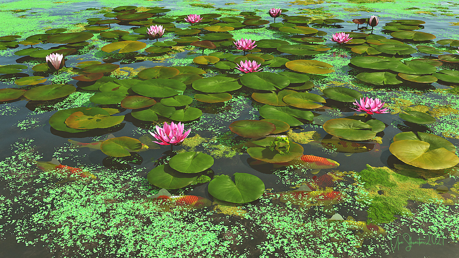 Koi
