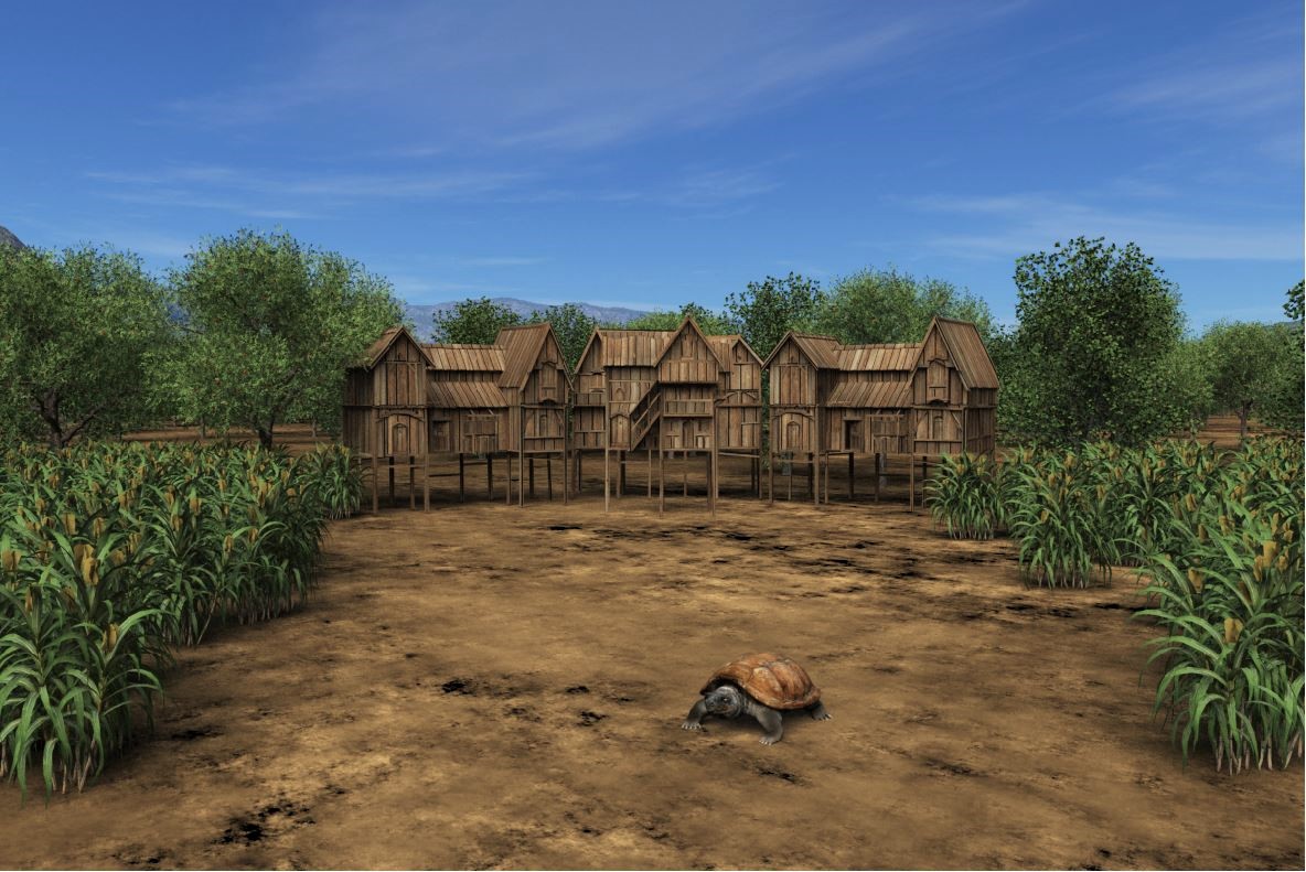 2021 8 Landschaft Tropen D