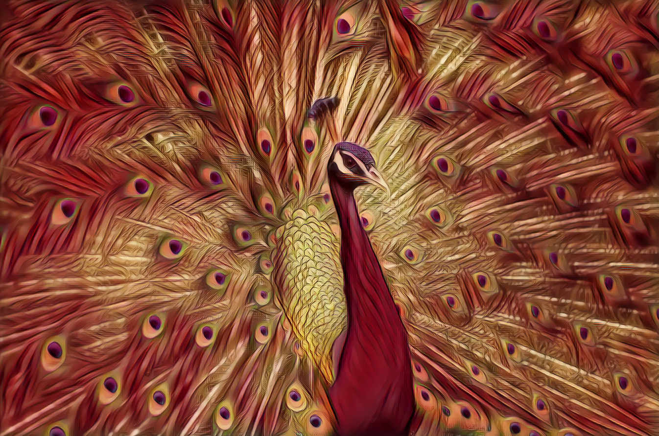 Goldener Pfau