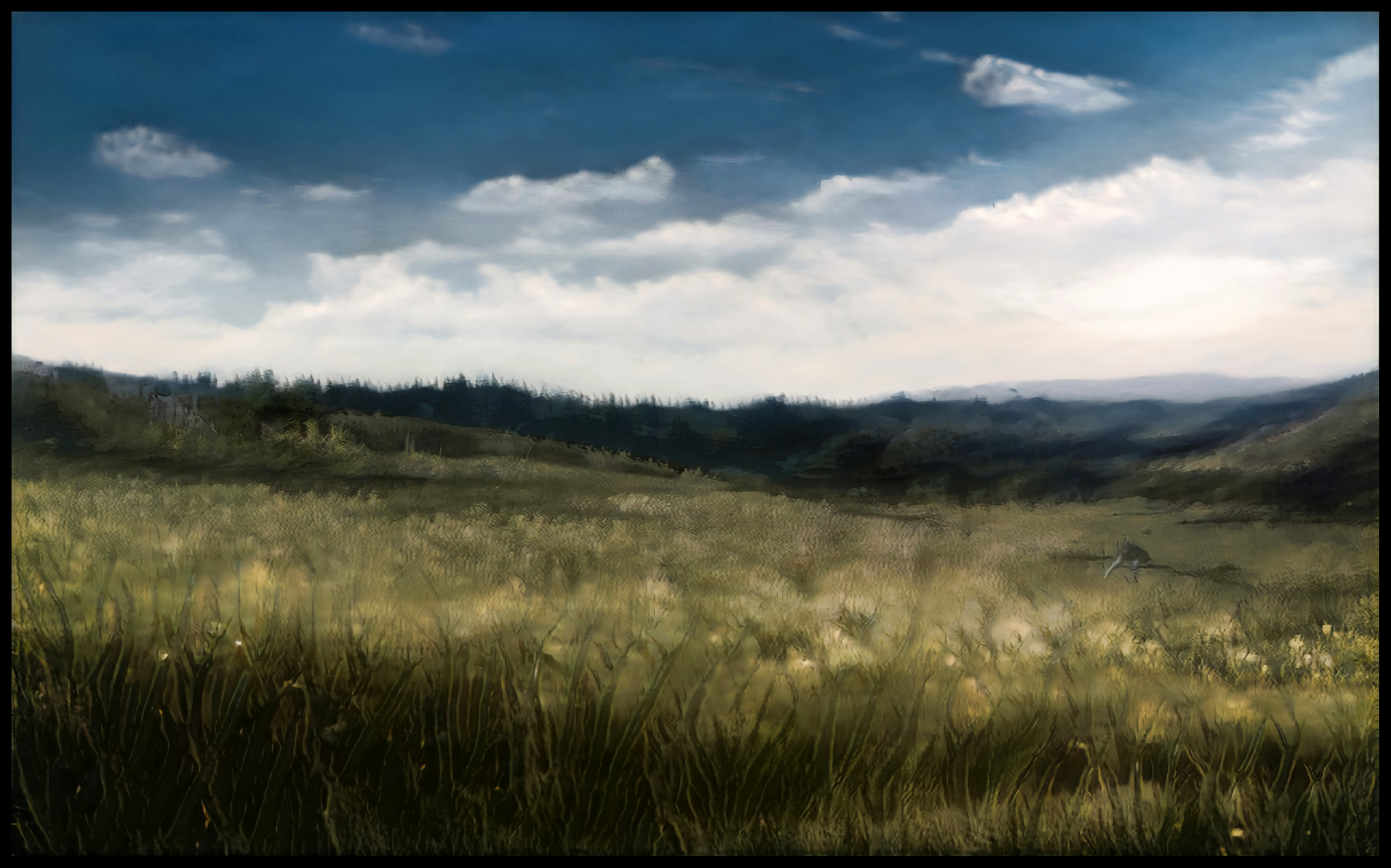 Heide mit Aussicht