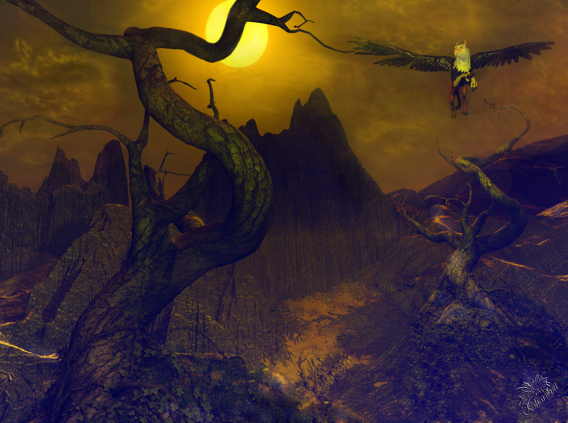 Rediscovery of a long forgotten paradise