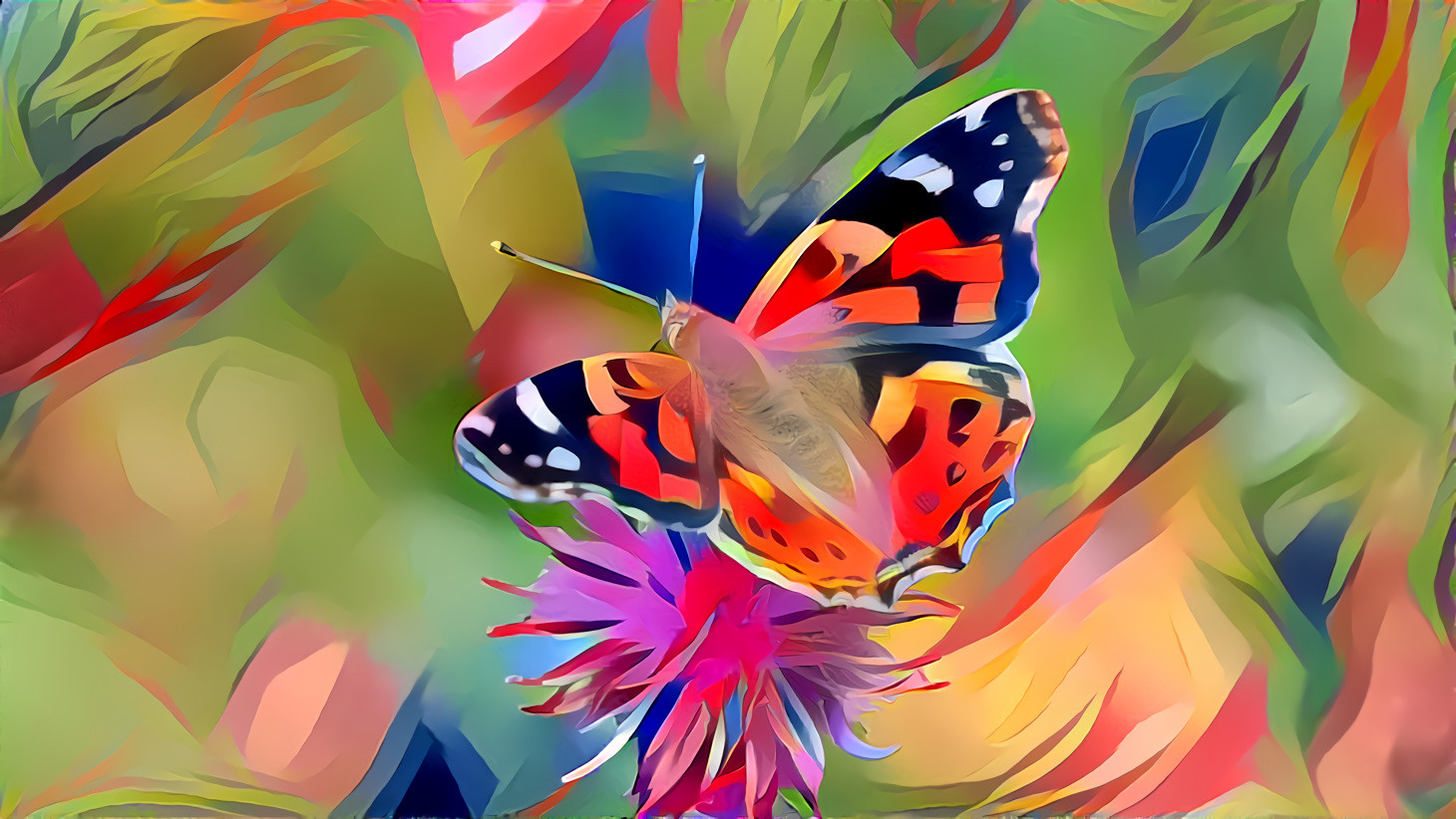 Butterfly
