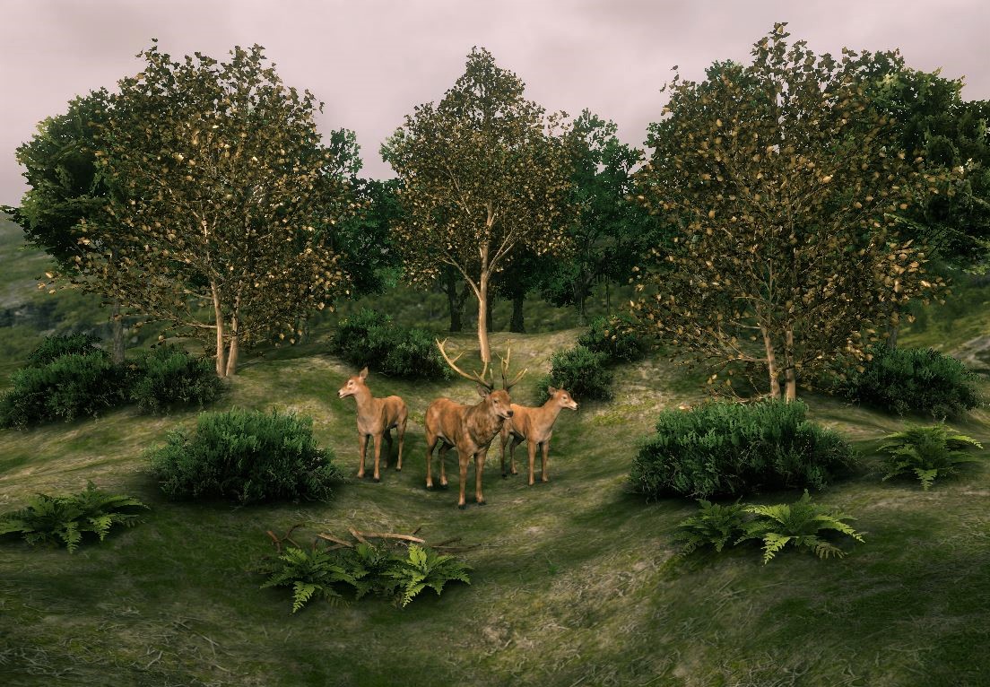 Flora & Fauna Herbst A