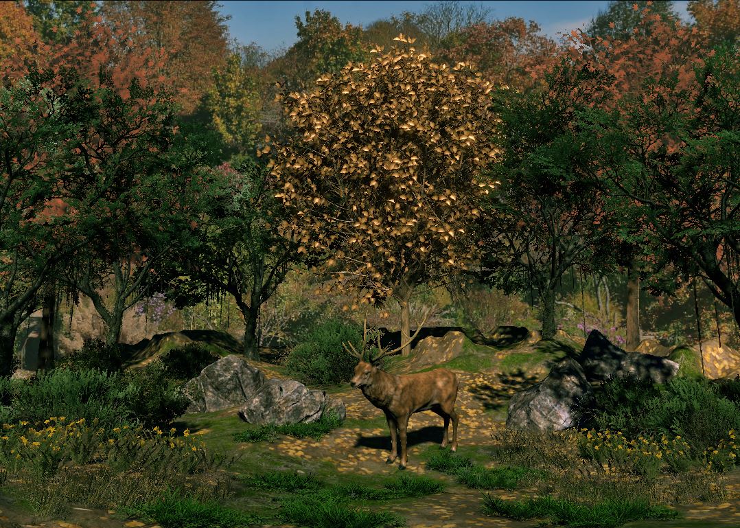 Flora & Fauna Herbst B