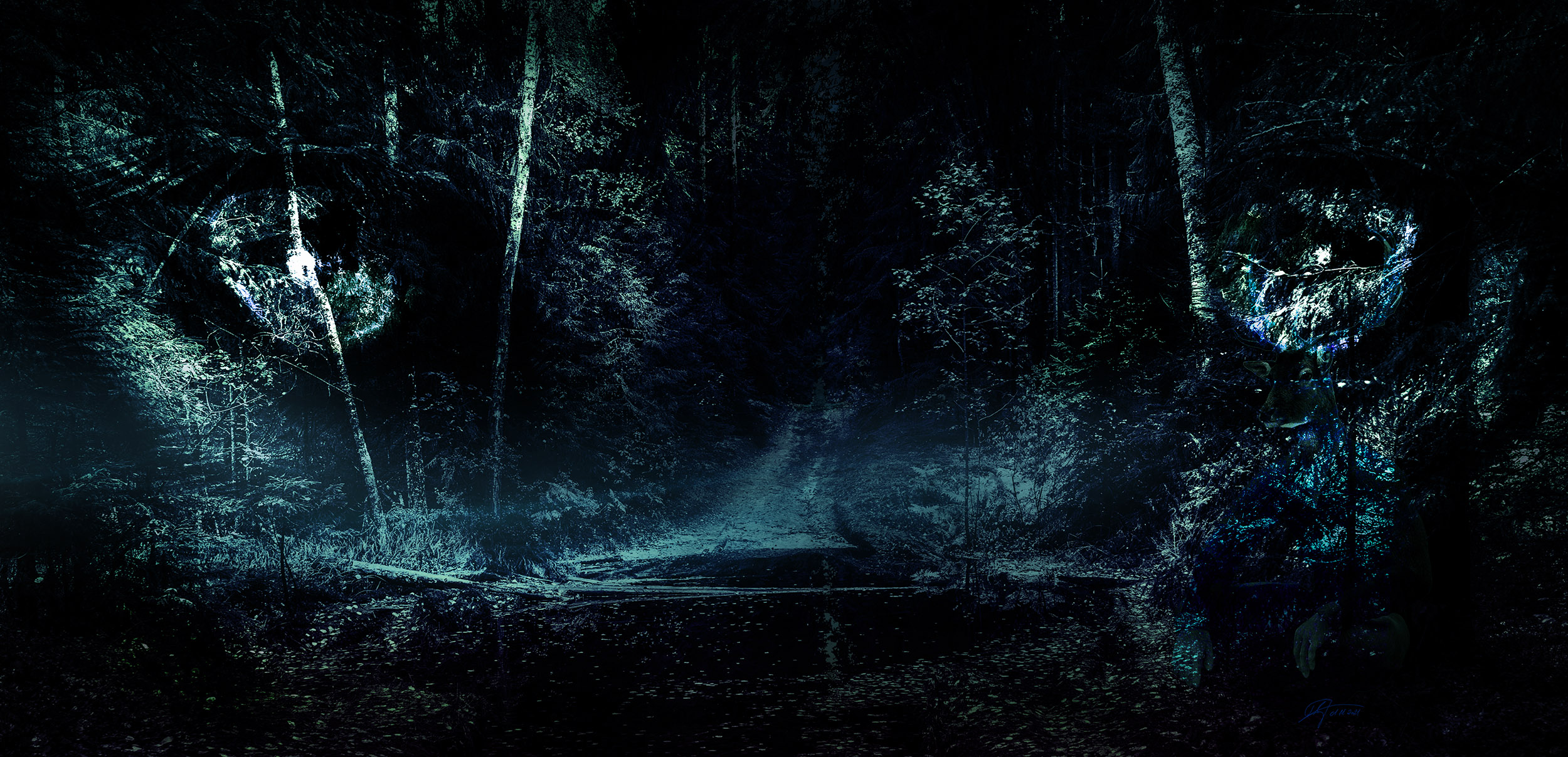 Awakening the forests spirit's