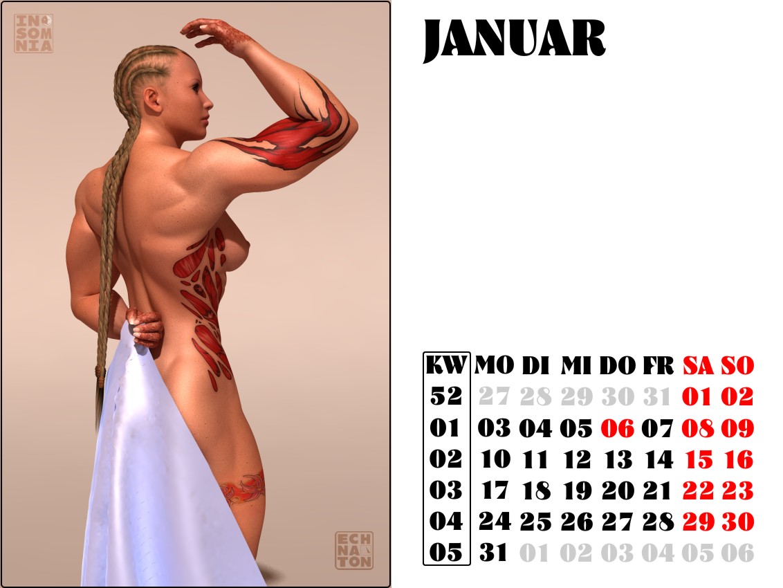 INSOMNIA 2011 - Januar