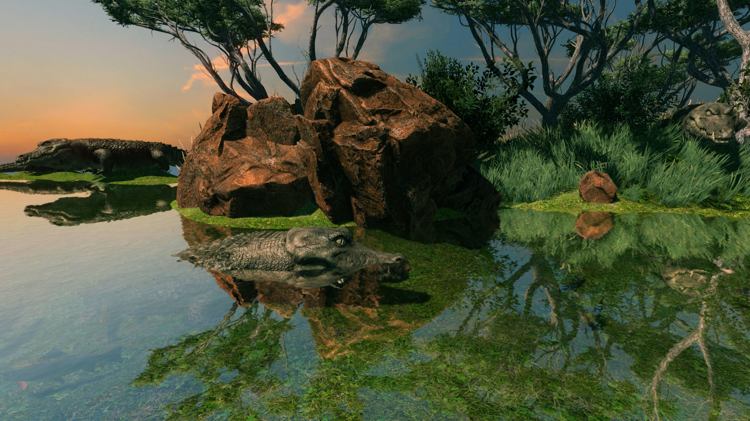 Crocodile Country