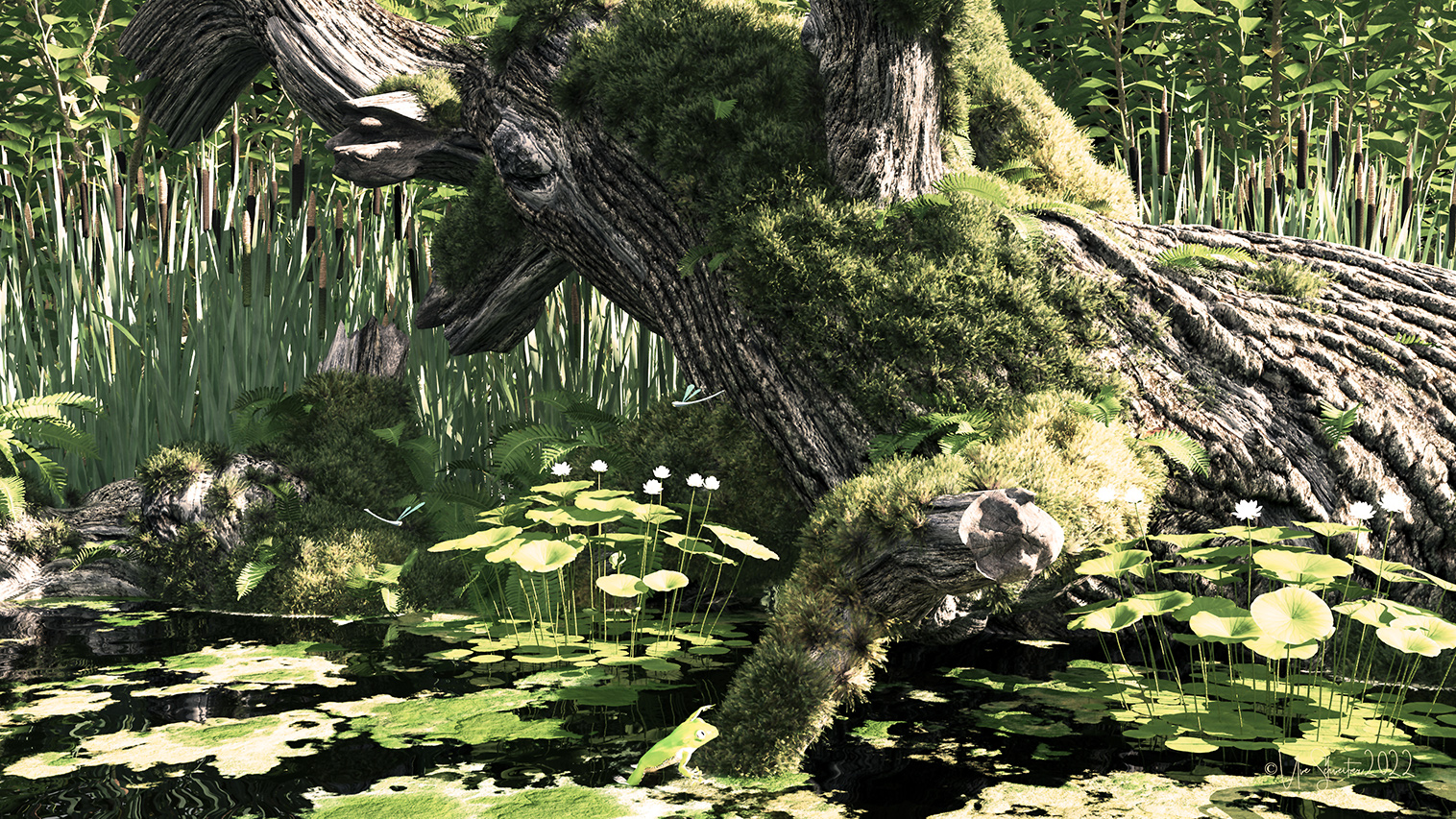 Pond
