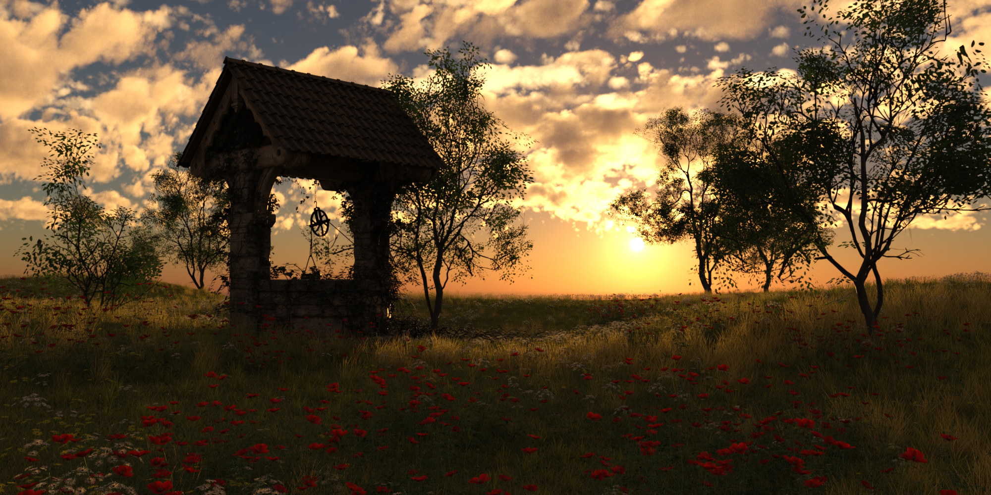 Abendwiese