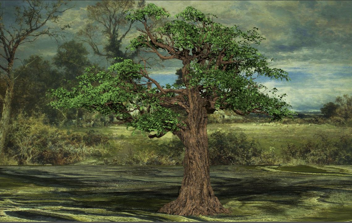 Magische große Bäume. Huanglongshan Tree.