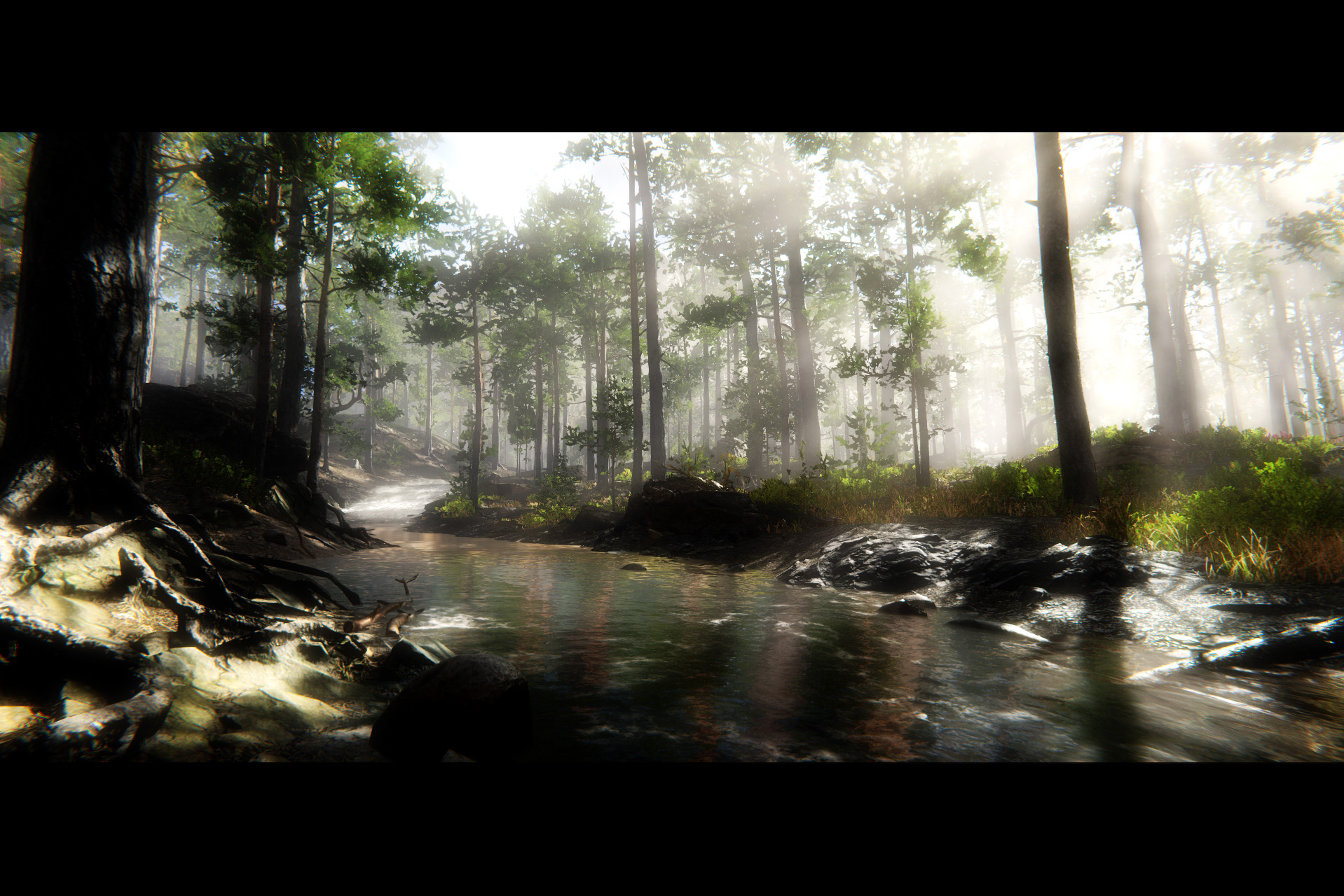 Im Wald #1