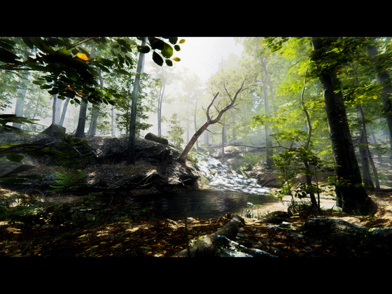 Im Wald #2
