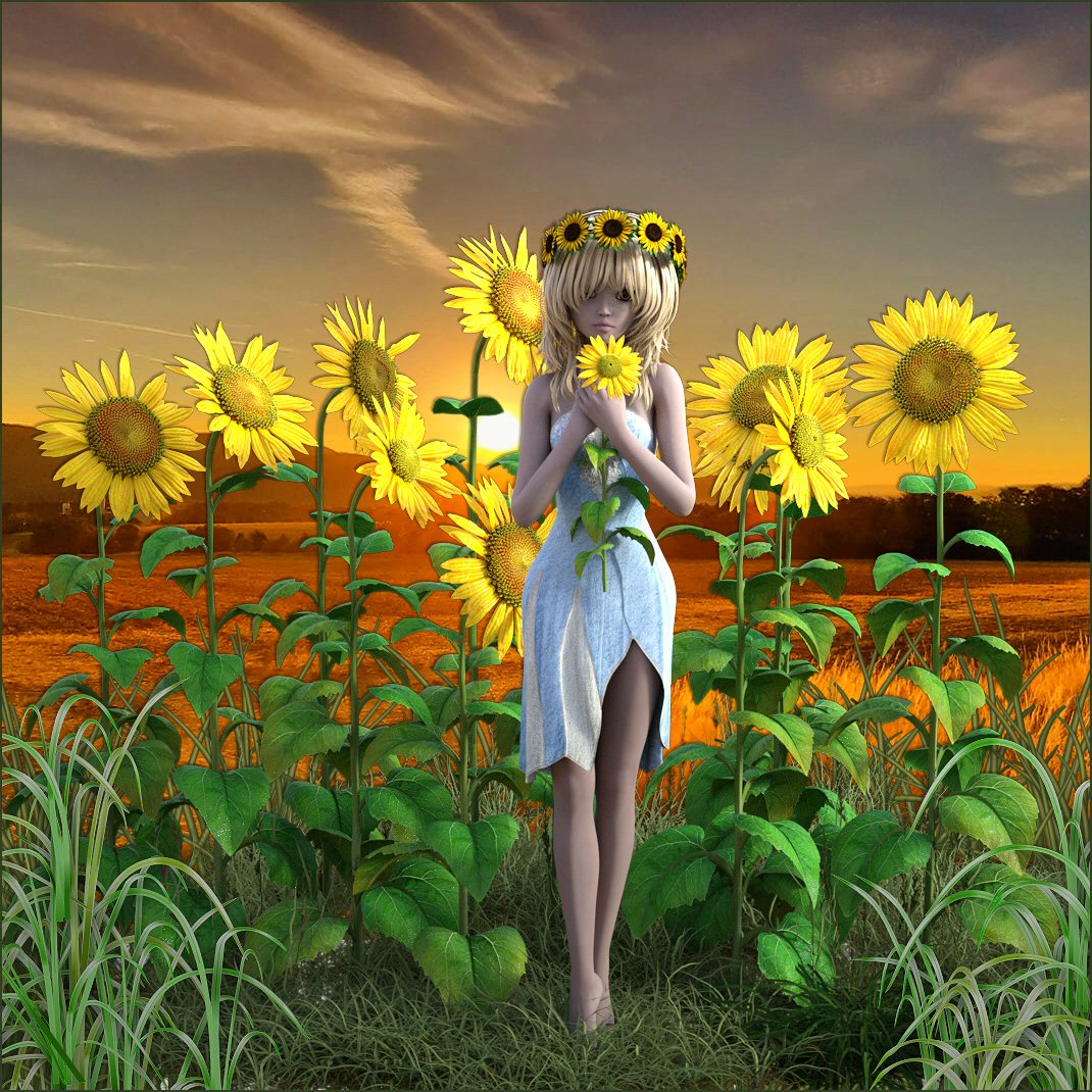 Sonnenblume