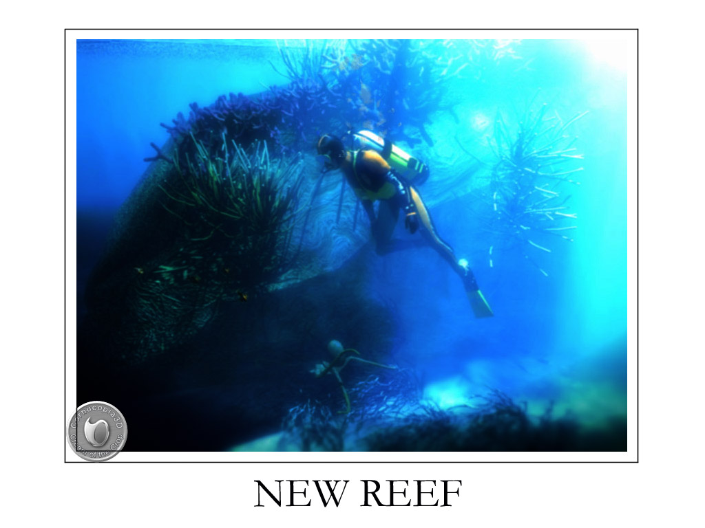 New reeft