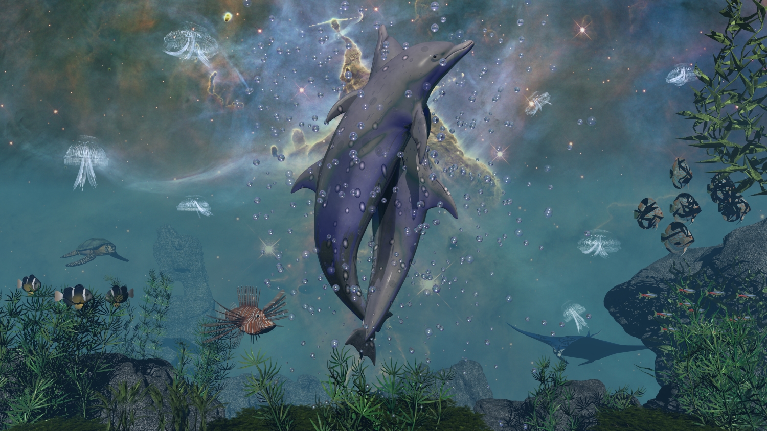 Dolphins