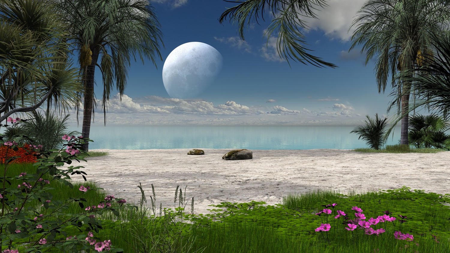 Island