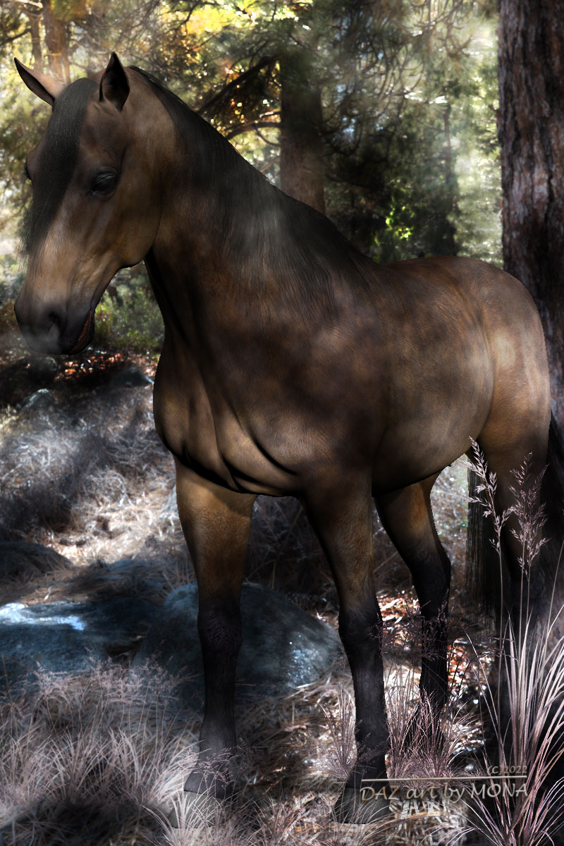 Mein Pferd im Wald