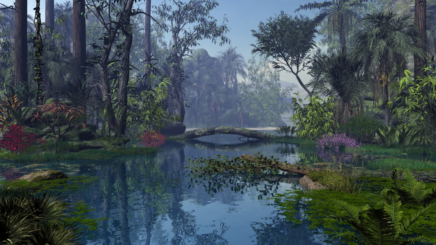 Jungle