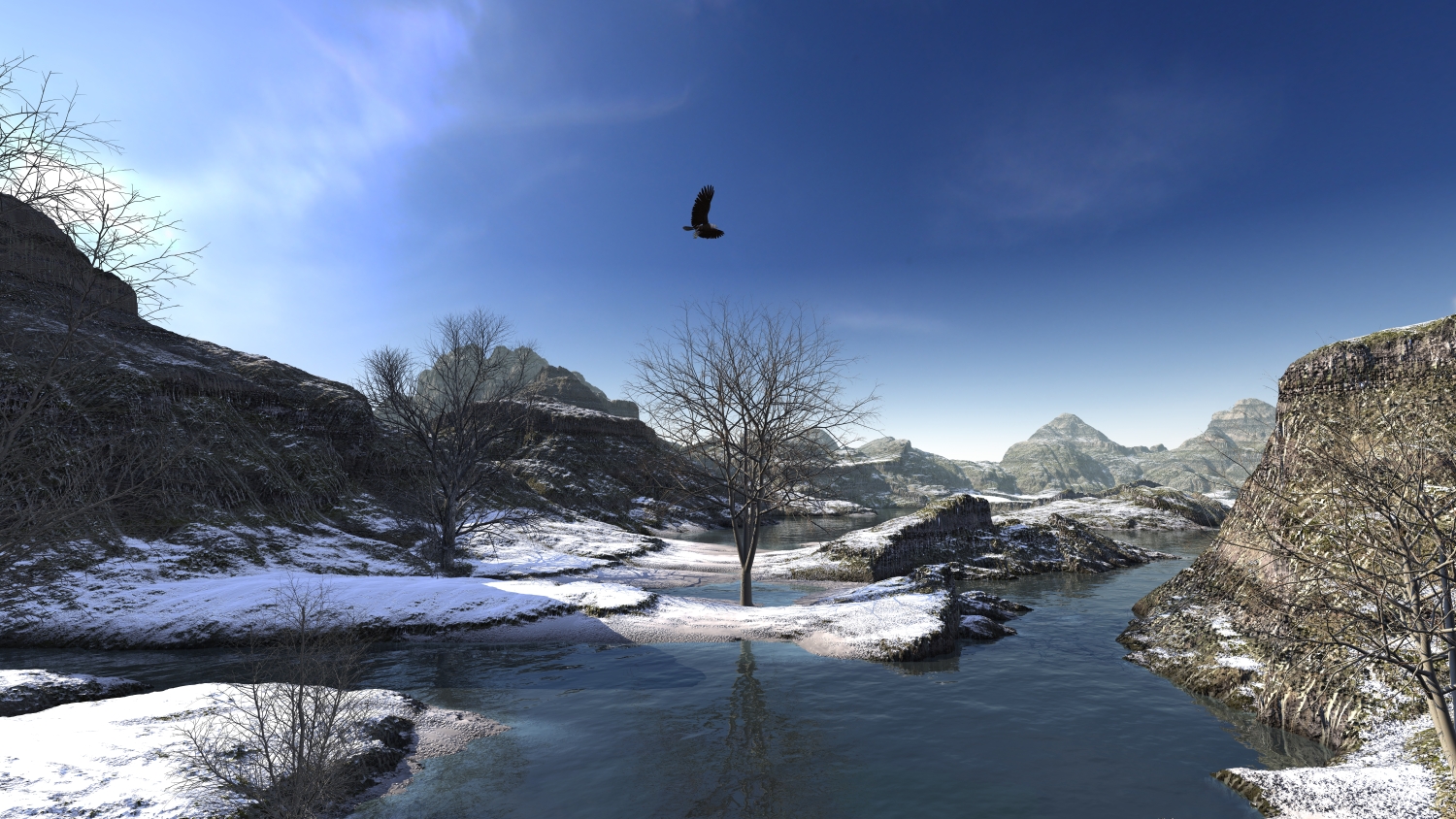 Winterland