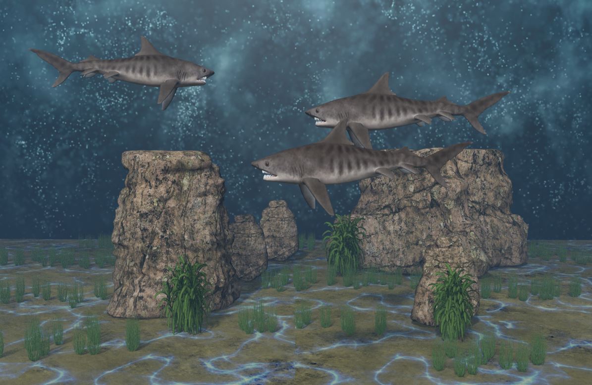 3 Unterwasser Szene A