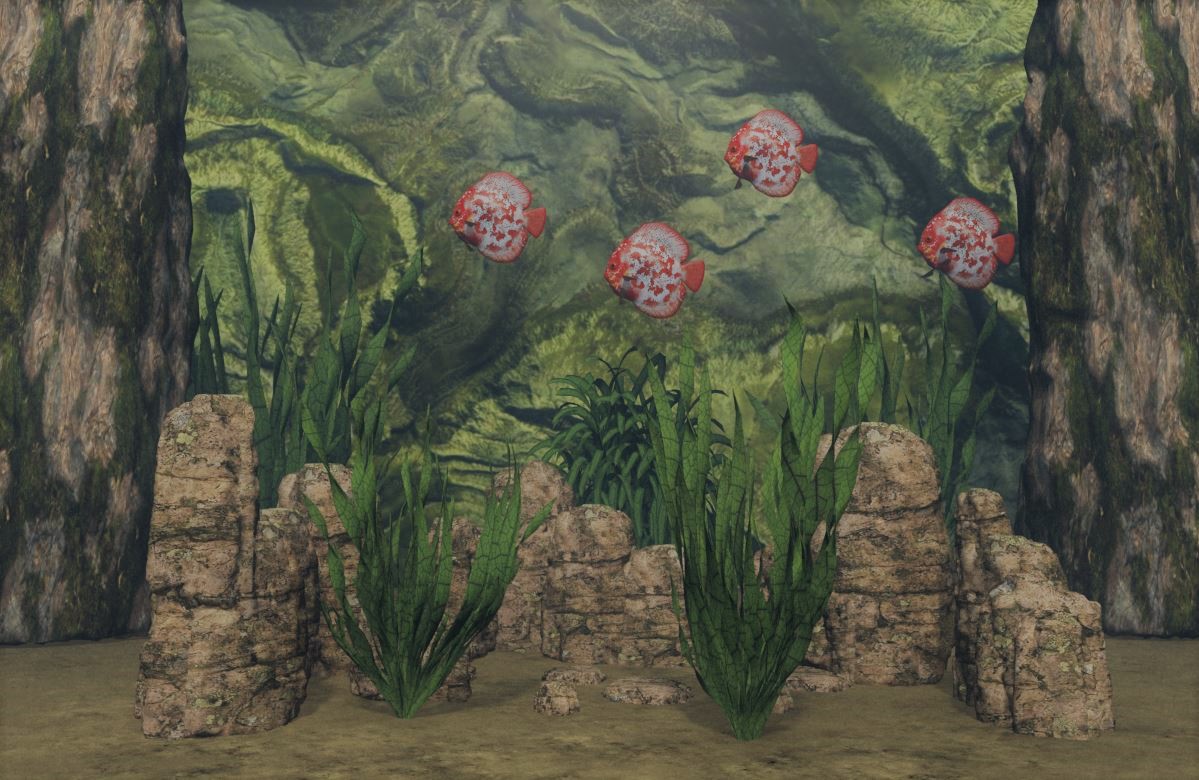 3 Unterwasser Szene B
