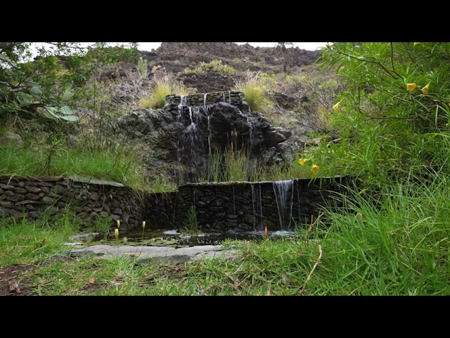 Palmitos Park Wasserfall