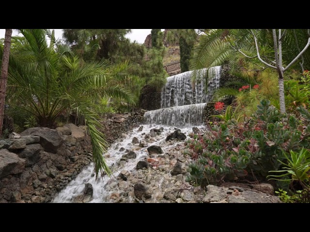 Palmitos Park- Wasserfall 2