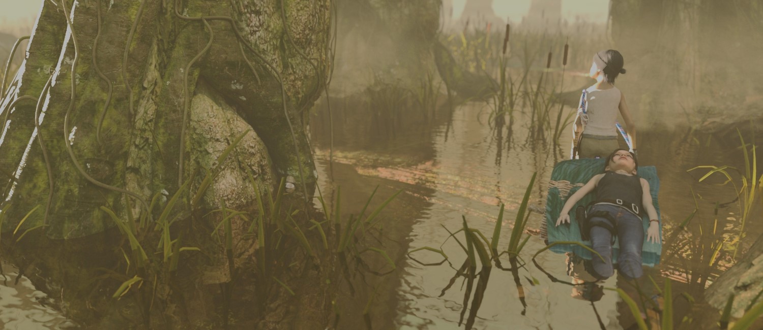 swamp fog