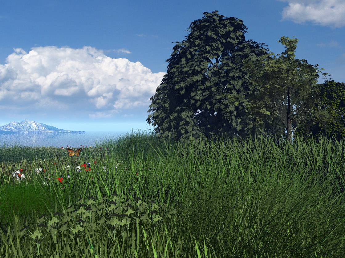 Sommer in den Förden