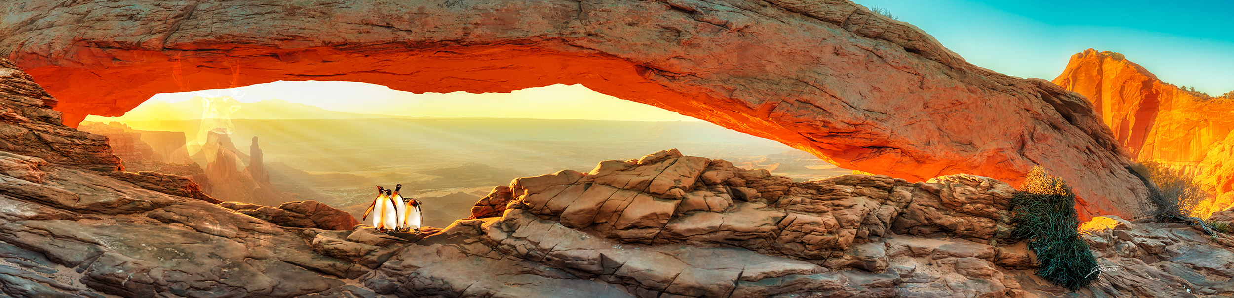 Penguins diaries - 5 - Get lost in Utah