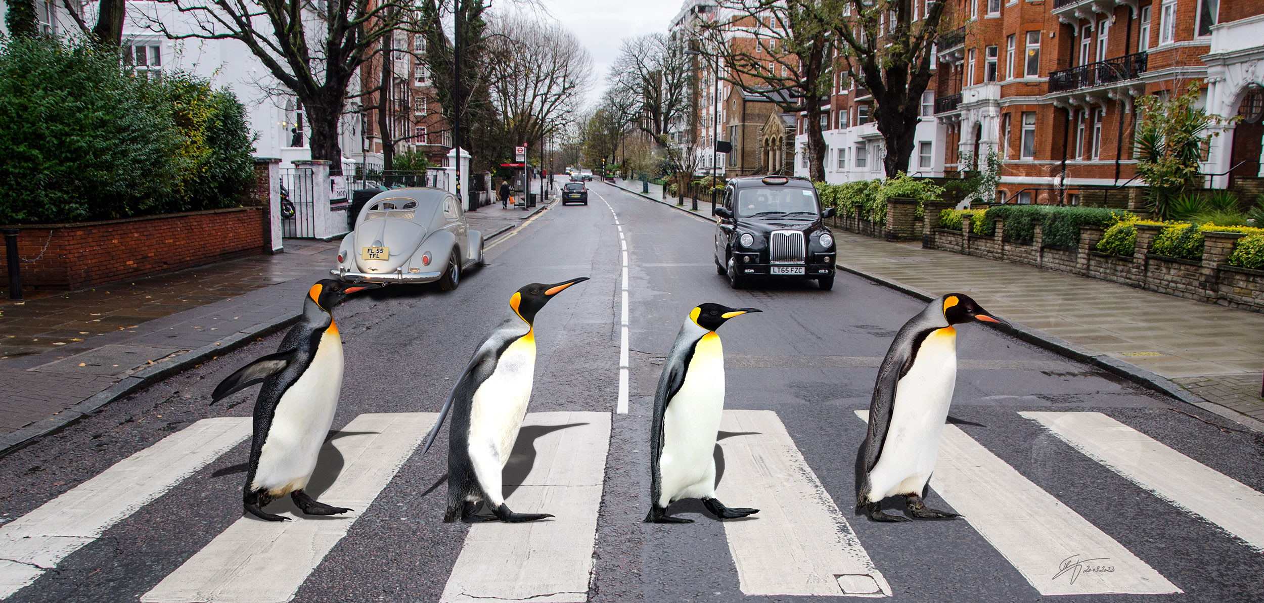 Penguins diaries - 6 - Get lost on Abbey Road