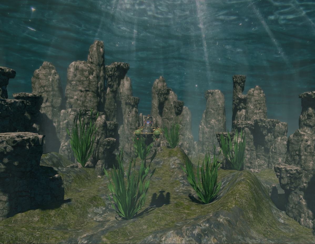 Unterwasser Flora & Fauna D