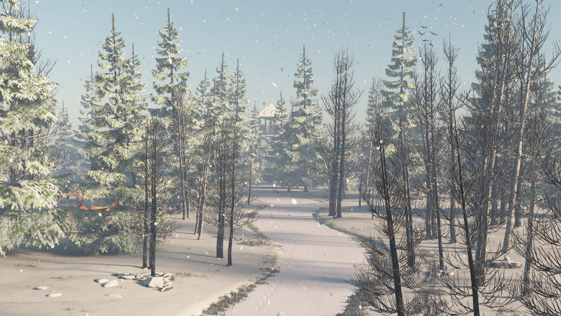 Snow / VUE