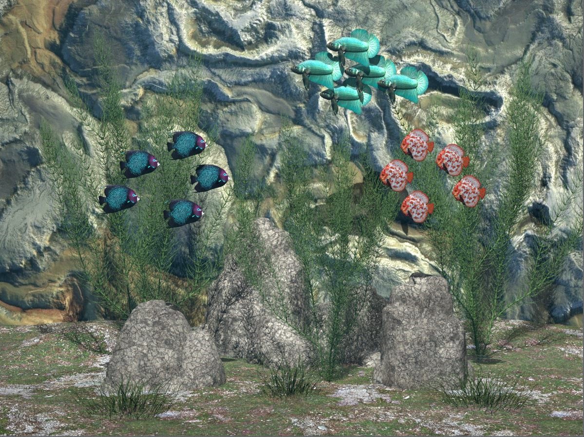 2025 7 Unterwasser Flora Fauna C