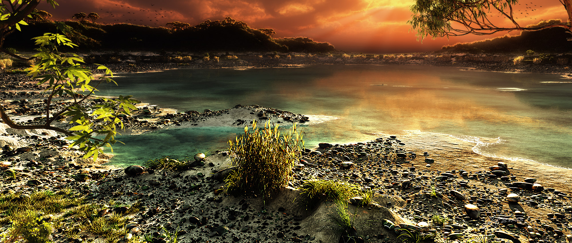 Rose Bay At Sunset