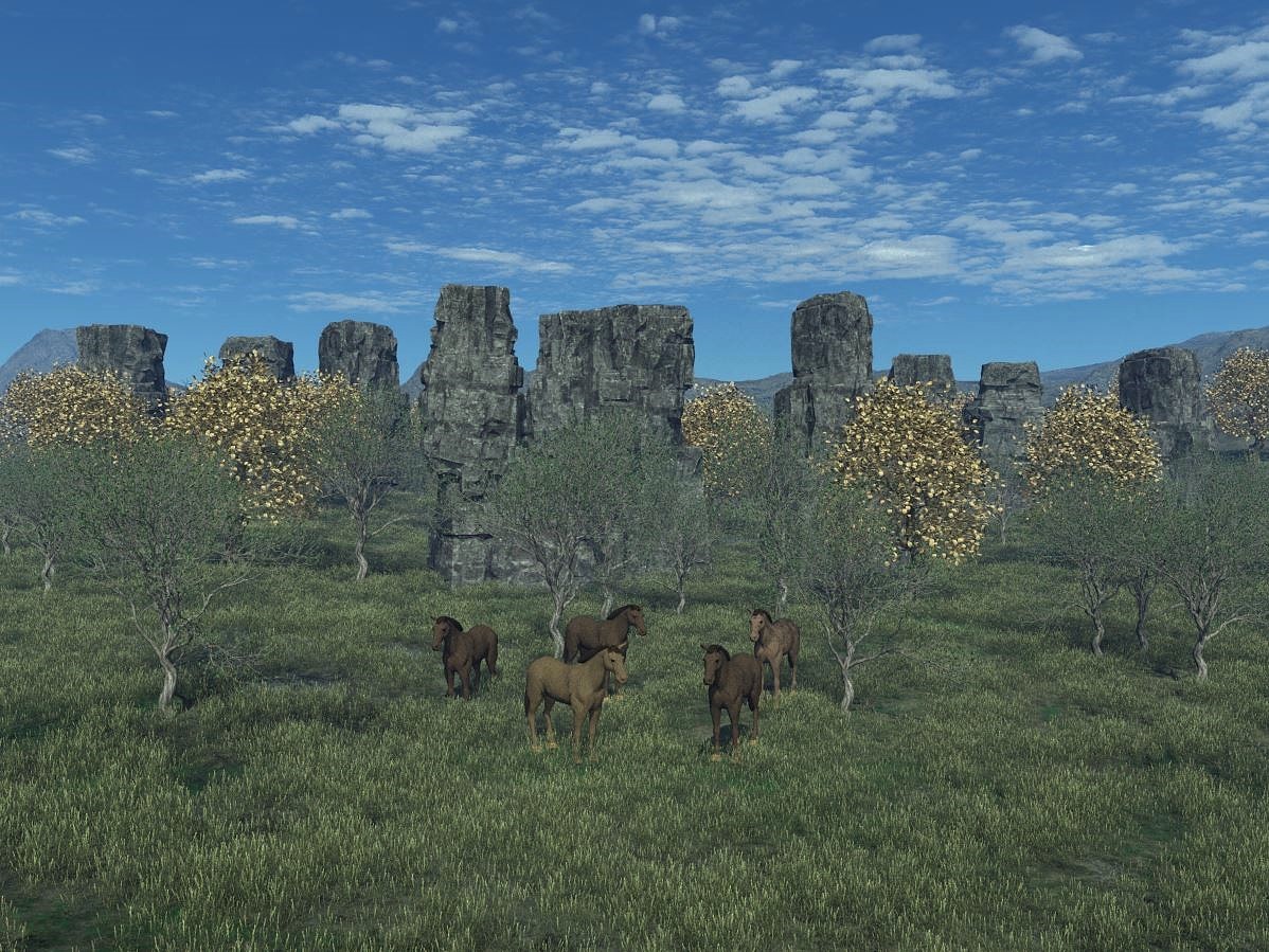 2025 10 Landschaft Norden Herbst F