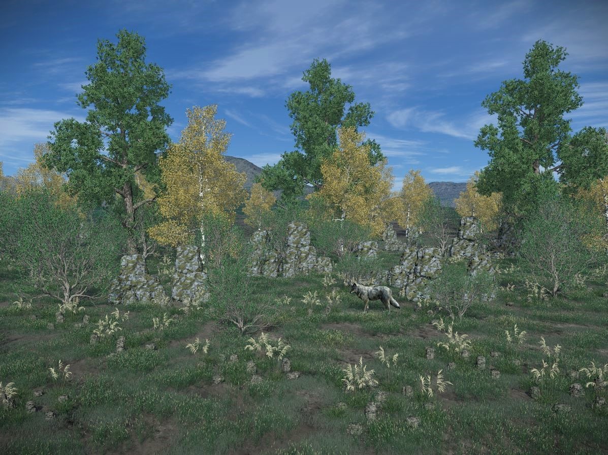 2025 10 Landschaft Norden Herbst G