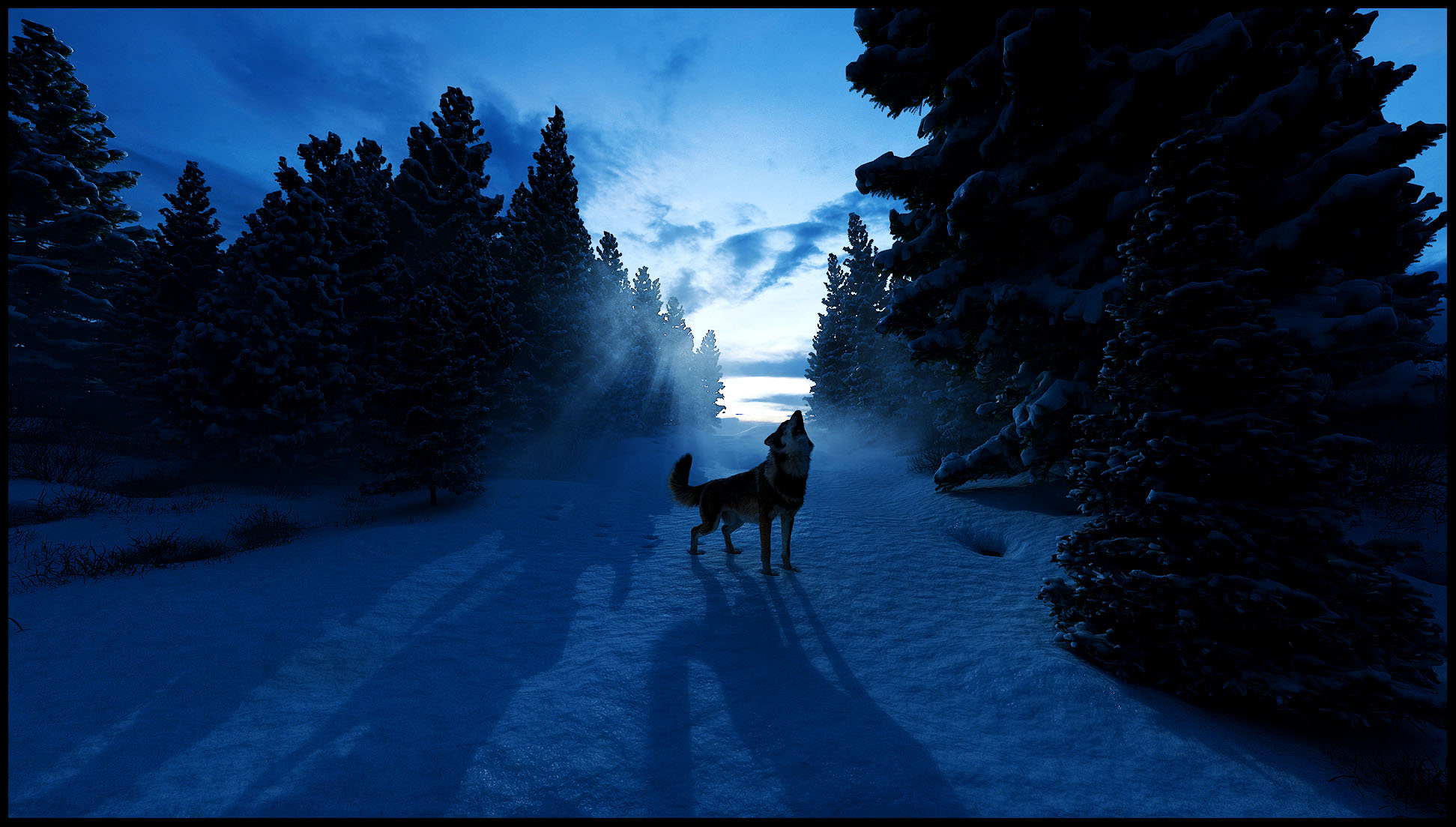 Winterbild mit Wolf(Footstep Edition)