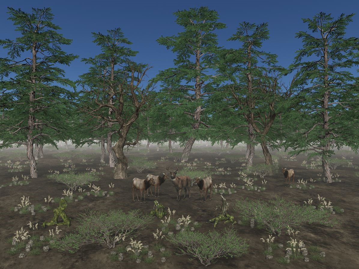 Landschaft Hoher Norden E