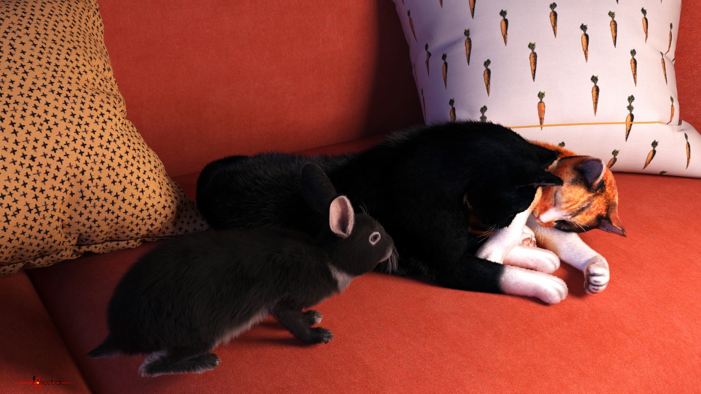 neugieriges Kaninchen