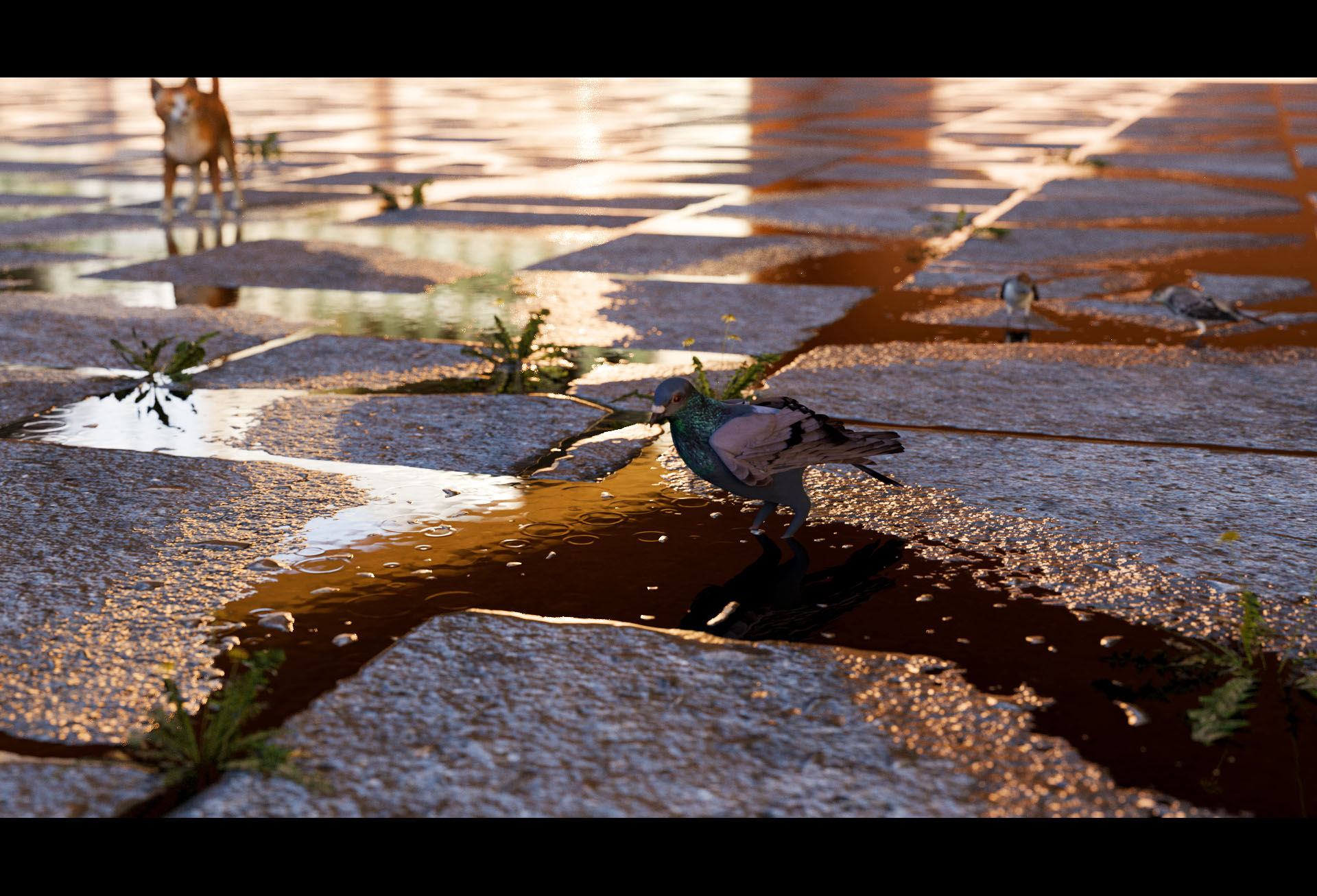 Der Frühling kommt #3