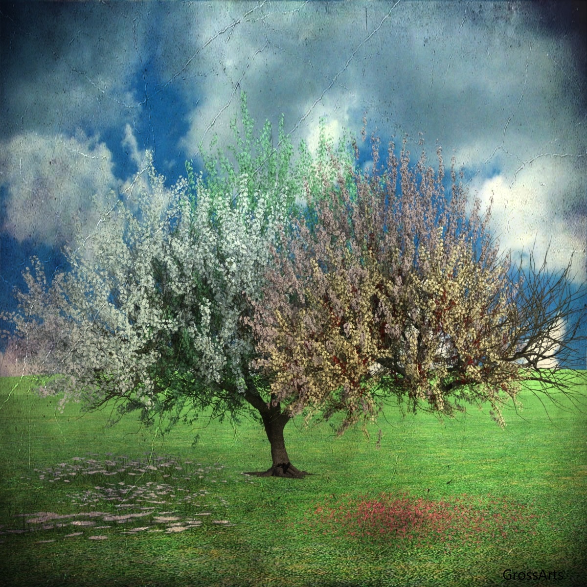 Vierjahreszeitenbaum