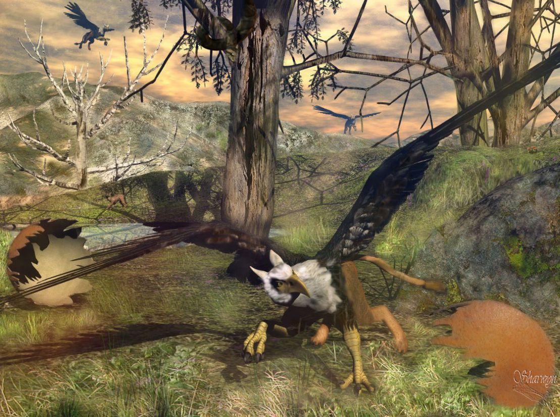 In the  area of the gryphons 