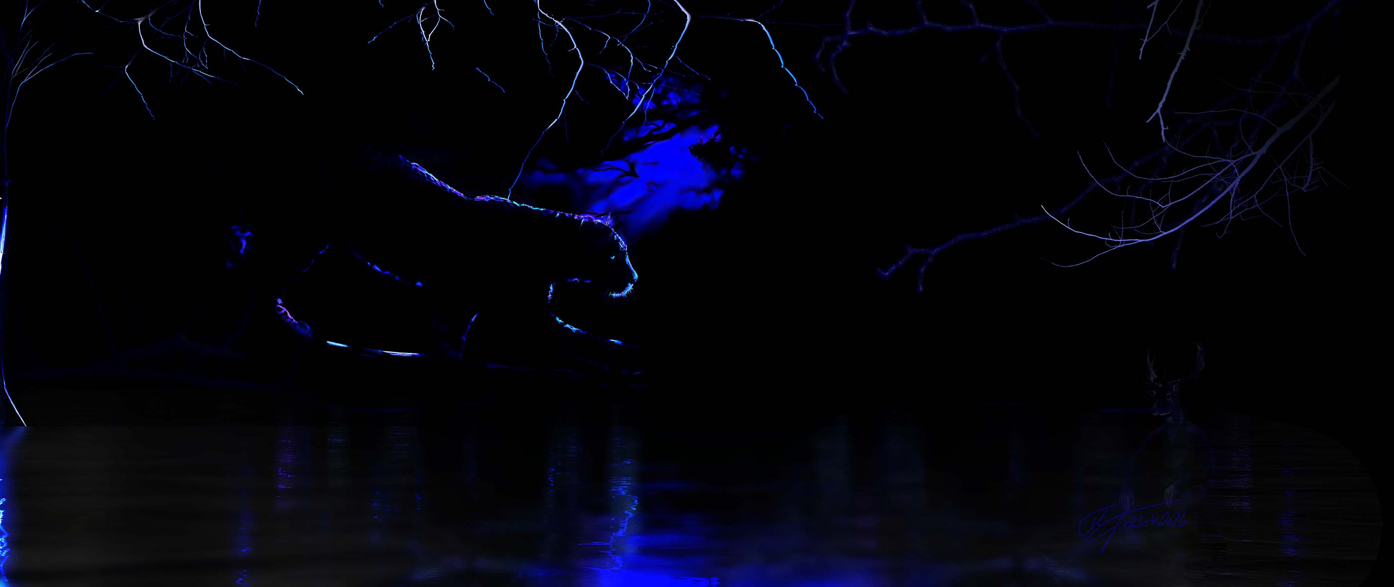 Leopard on the Prowl