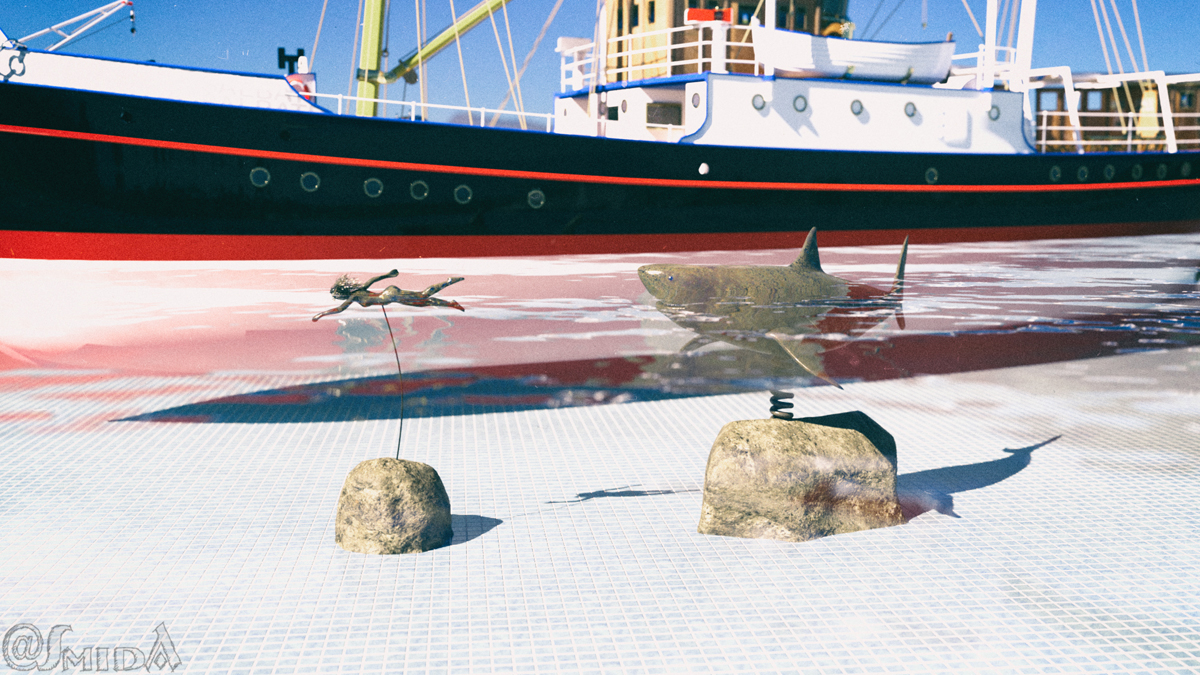 Die Albatros