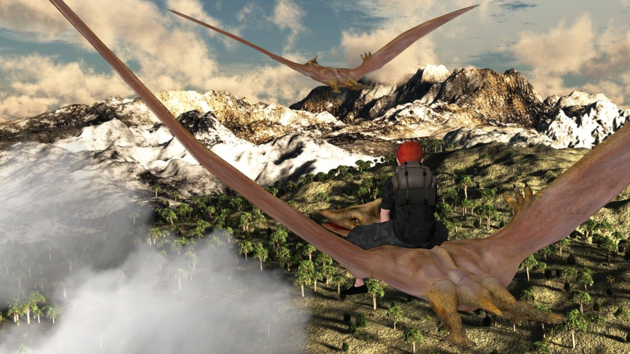 Der Flug